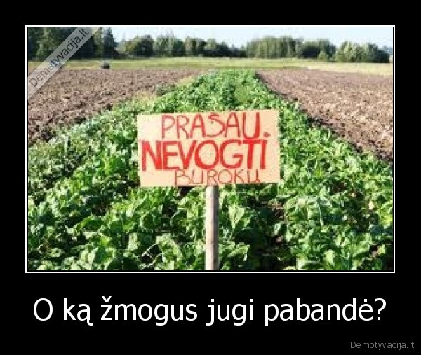 O ką žmogus jugi pabandė?