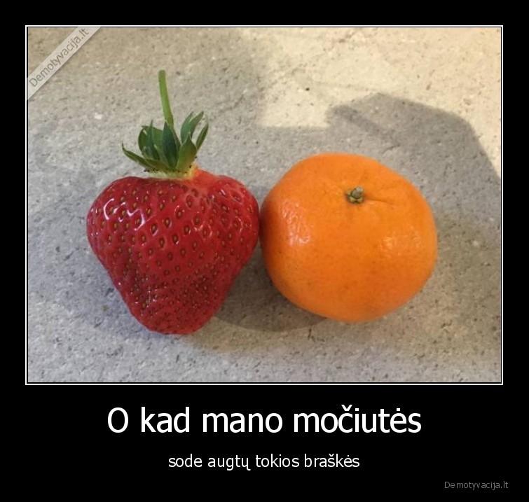 braskes,mociute,sodas,maistas