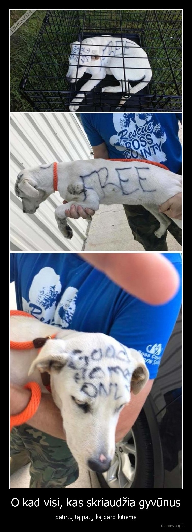 gyvunai,suo,ziaurumas,zmogus