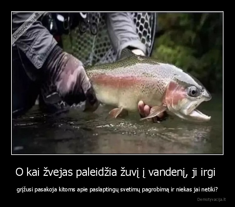 zuvys,pagrobimas,ufo,nso,zvejyba