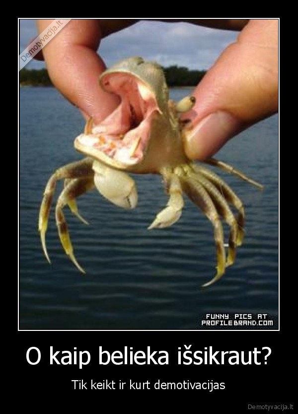 O kaip belieka išsikraut?