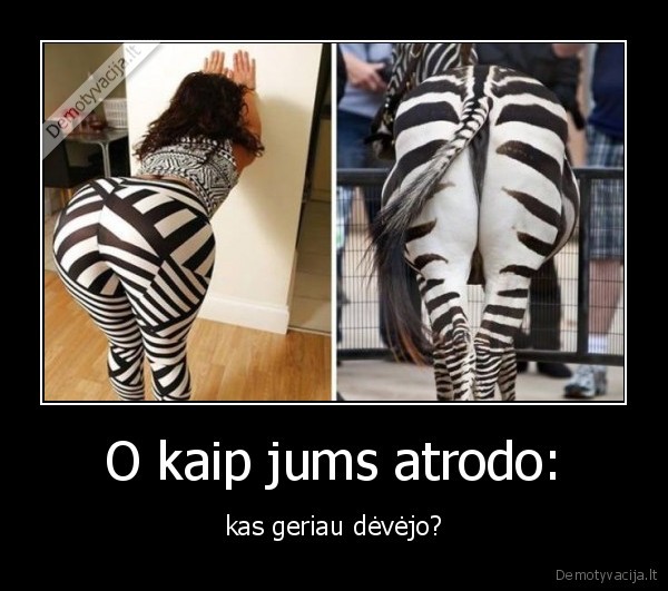 zebras,kelnes,tympos,sikna,mergina