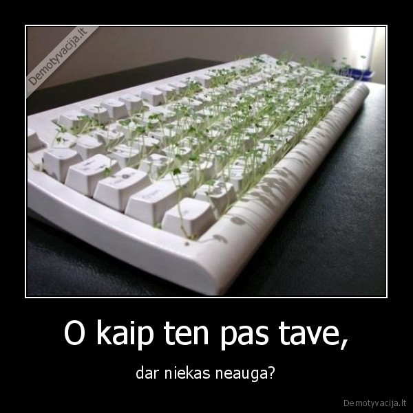 laikas, issivalyt, maigykle