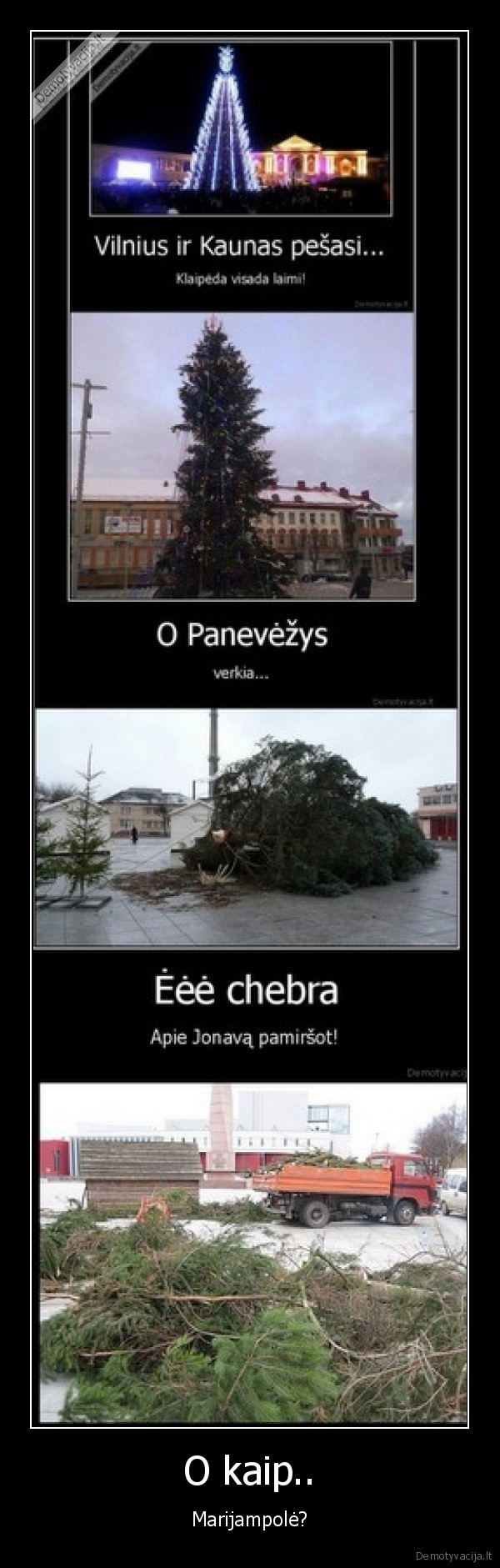 kaledu, egles,kaunas,klaipeda,vilnius,marijampole,panevezys