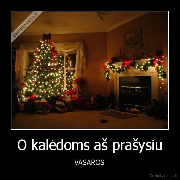 kaledos,vasara,ziema,svente,atostogos