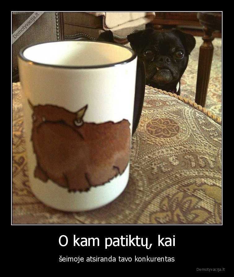 suo,konkurentas,seima,puodelis