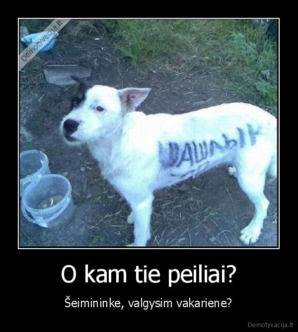 suo,saslykas,vasara,kebabas,nom, nom, nom,le, au, au