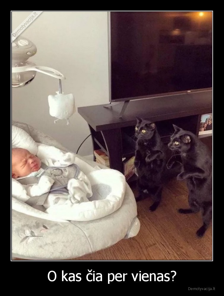 katinai,vaikas,kas,cia