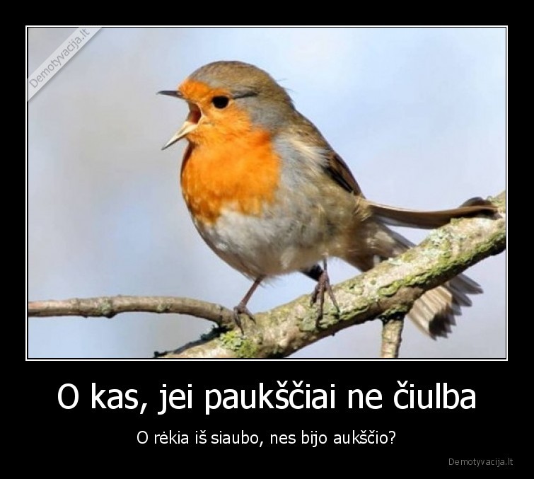 gyvunai,ciulbejimas,pauksciai,aukscio, baime