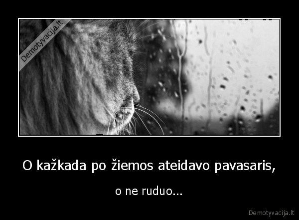 ruduo,pavasaris,ziema