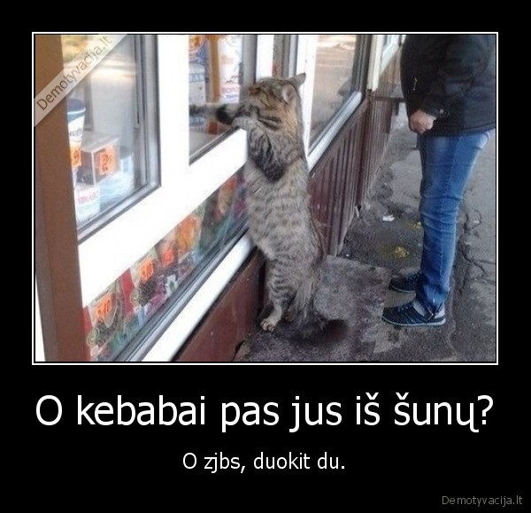 kebabai,katinas,perka