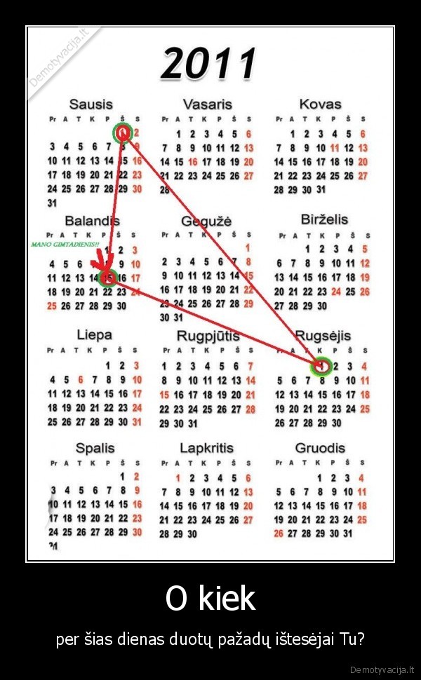 gimtadienis,naujieji, metai,kitos, zymes