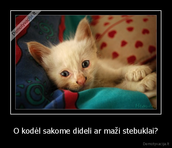 O kodėl sakome dideli ar maži stebuklai?