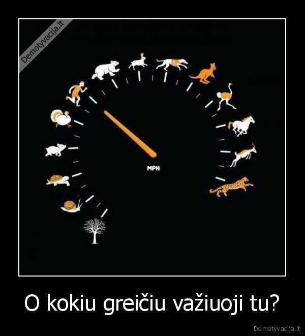 masina,greitis,vaziuoja