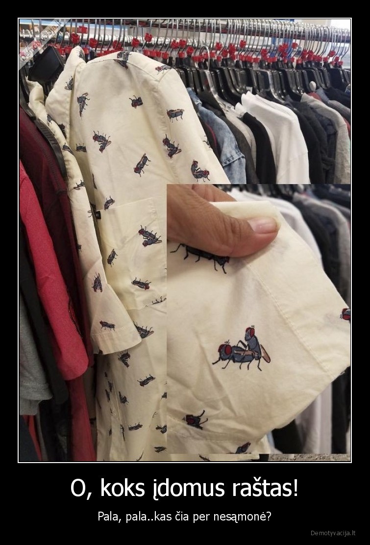 idomus, rastas,nesamone,stilius,dizainas