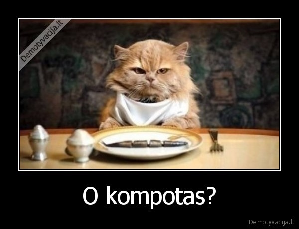 katinas,valgo,kompotas
