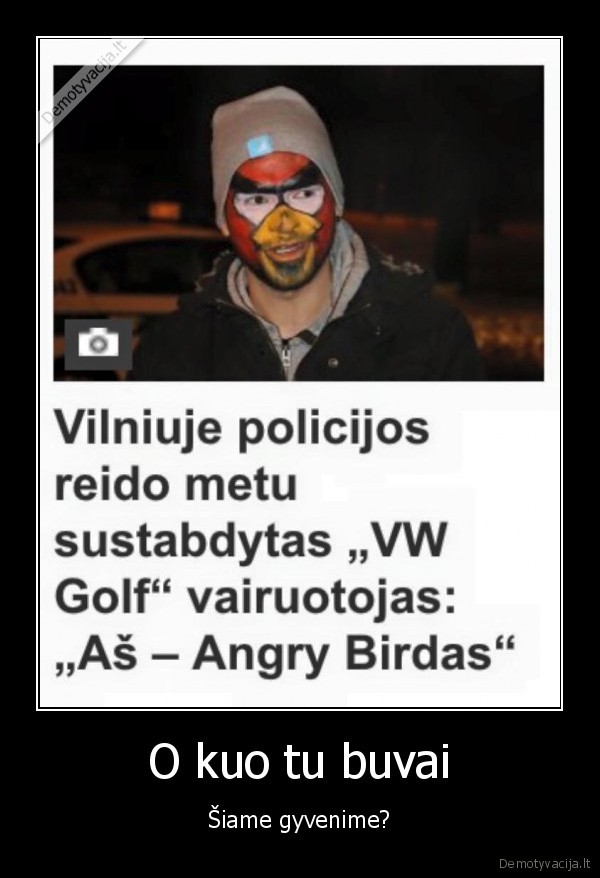angry, bird,piktas, paukstis,reidas
