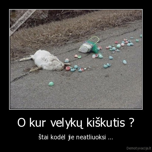 O kur velykų kiškutis ?