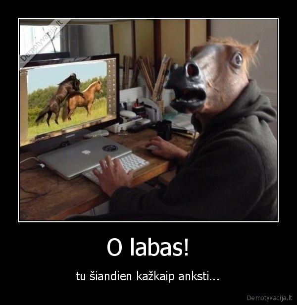 prigavo,arkliai,ziuri,suaugusiems