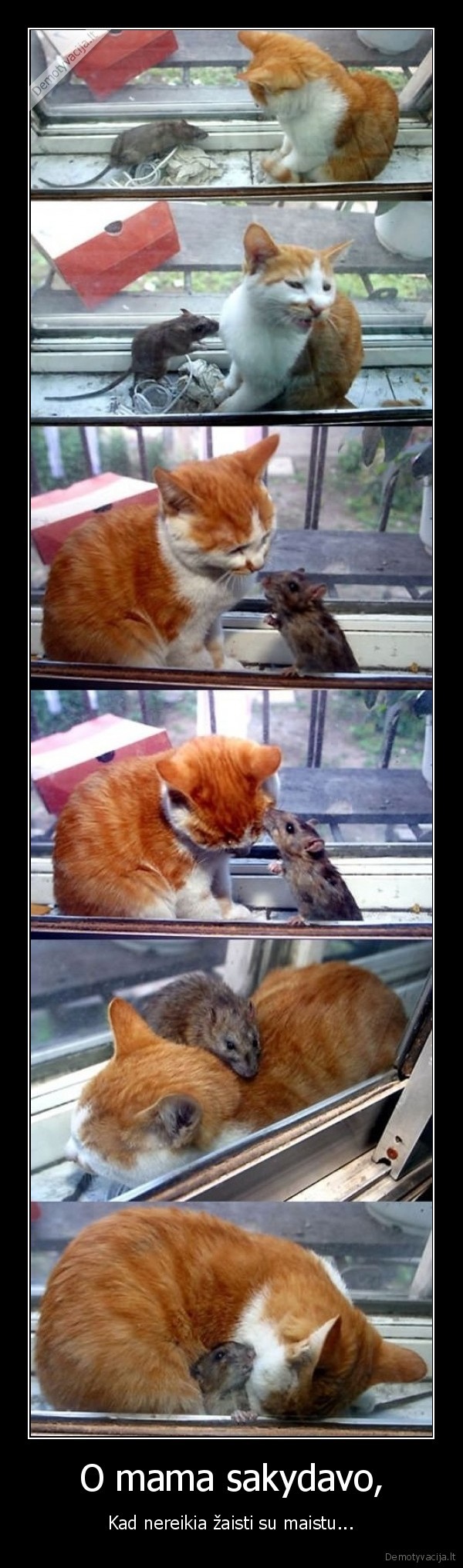 O mama sakydavo,