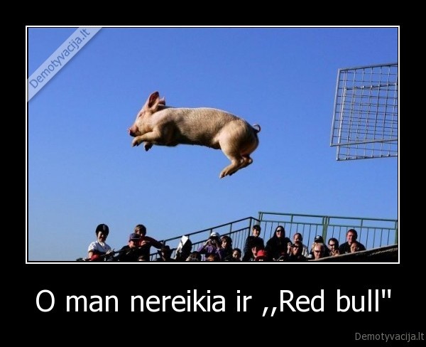 O man nereikia ir ,,Red bull''