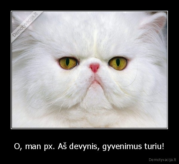 O, man px. Aš devynis, gyvenimus turiu!