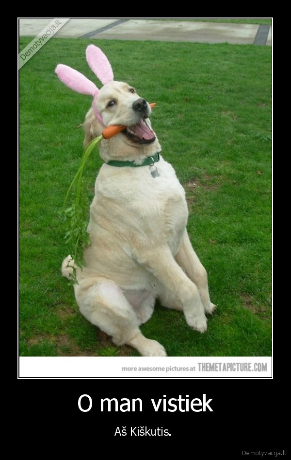 kiskis,suo,tas, pats