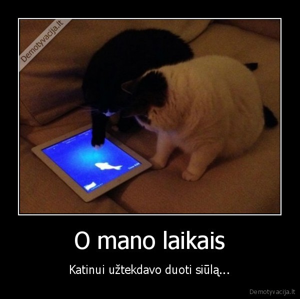 siuolaikines, kates,naujausios, technologijos,kates, zaidzia