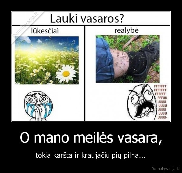 vasara,uodai,vasaros, lukesciai,vasaros, realybe