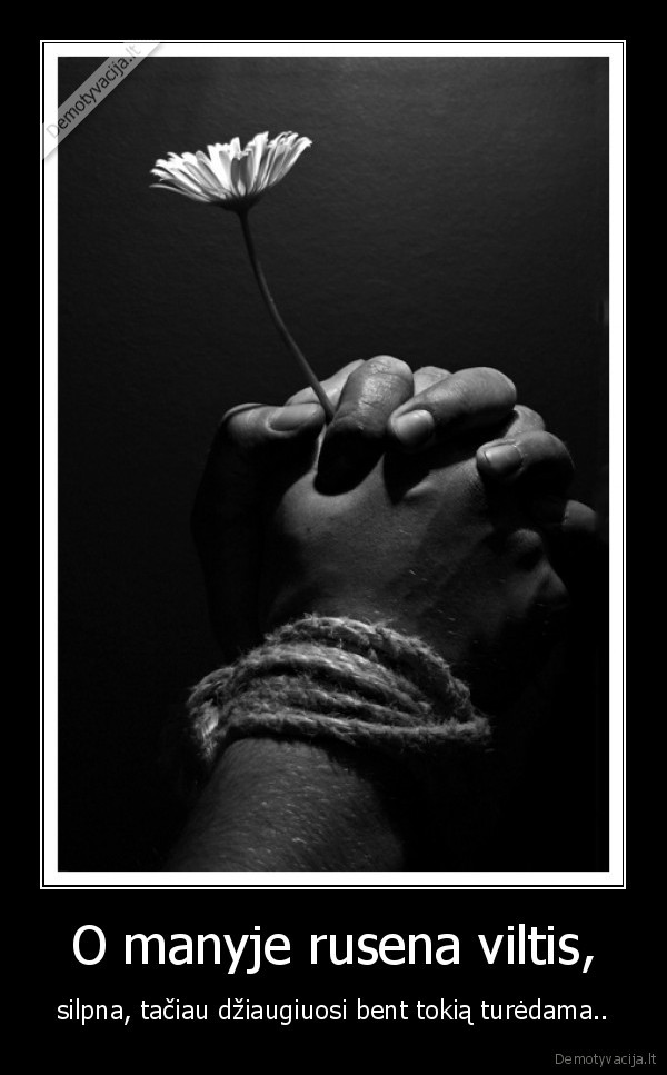 viltis, meile, laukimas