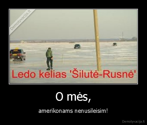 amerikonas,kubilius,ledas