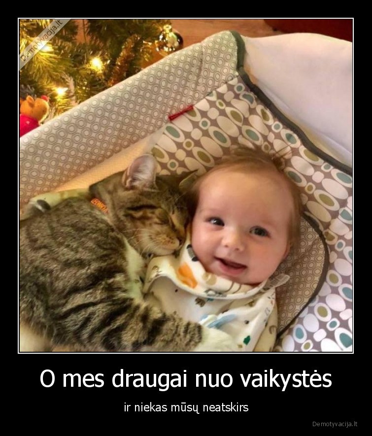 draugai,vaikyste,vaikas,katinas