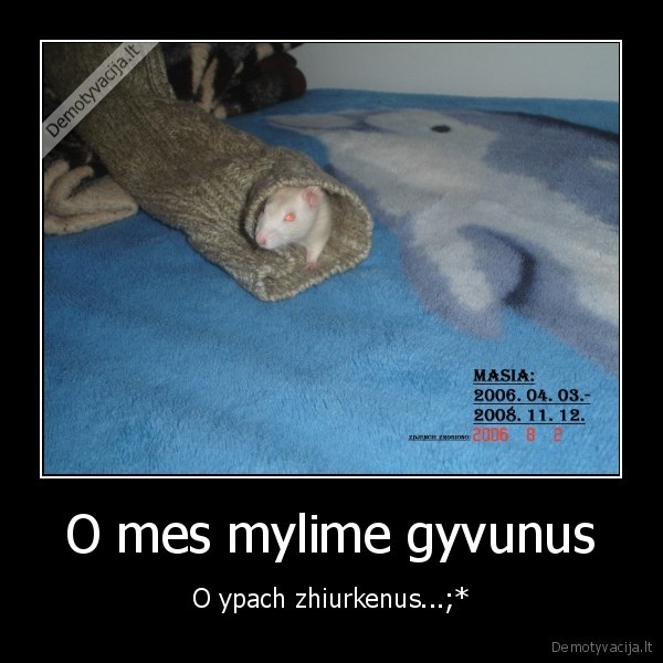 O mes mylime gyvunus