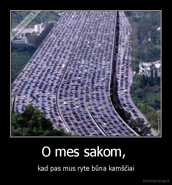 kamsciai,rytaskelyje