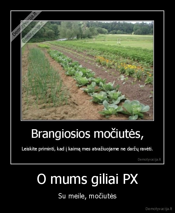 mociutes,kaimas,darzu, ravejimas