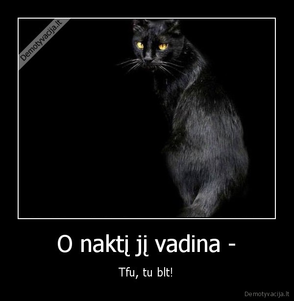 katinas,juodas,baisu