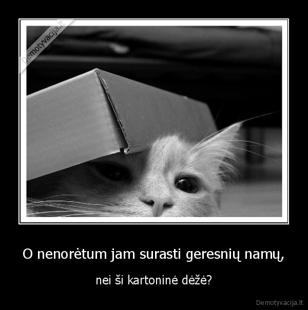 O nenorėtum jam surasti geresnių namų,