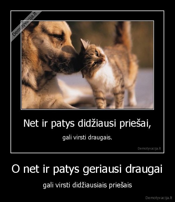 draugai,priesai,kubilius