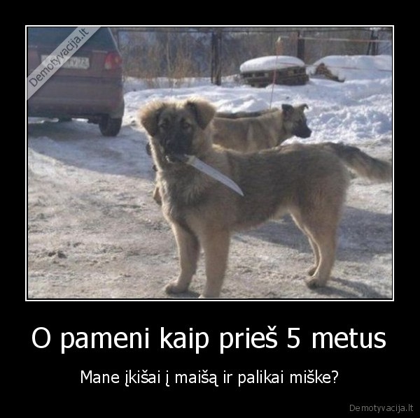 kerstingas, suo,suo, su, peiliu