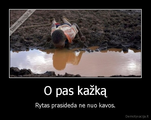 kava,rytas