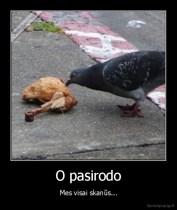 paukstiena,valgo, vista