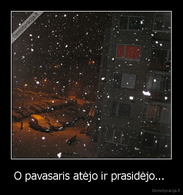 O pavasaris atėjo ir prasidėjo... 