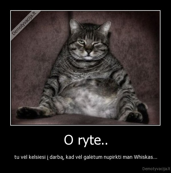 kates,storas, katinas,whiskas