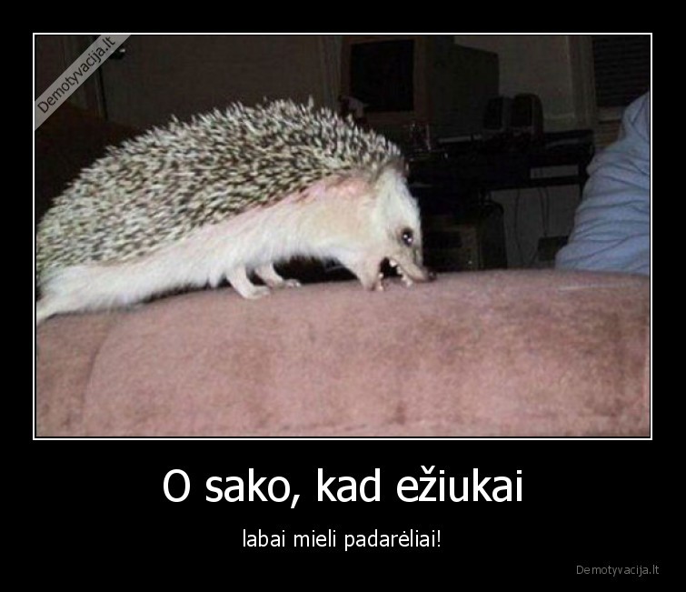 eziukas,eziukai,mieli,padareliai