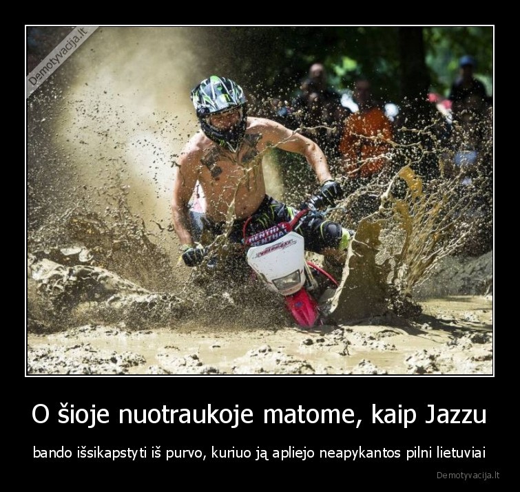 jazzu,aktualijos,wild,purvas