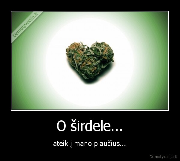 O širdele...
