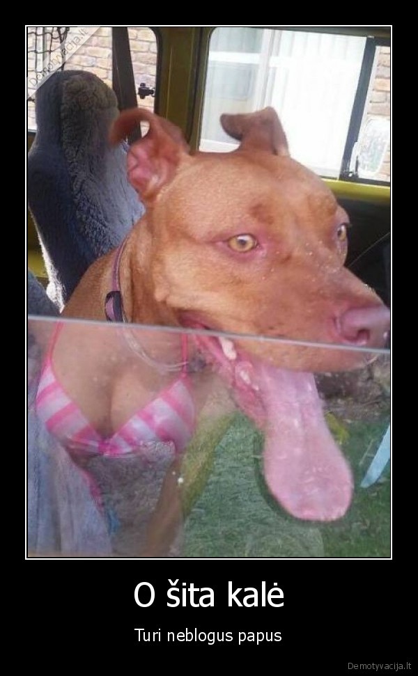 seksuali, kale,geri, papai,suo