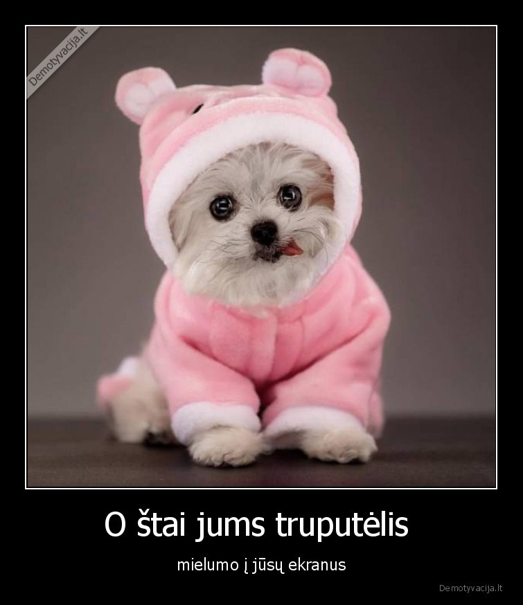 suniukas,mielas,mielumas