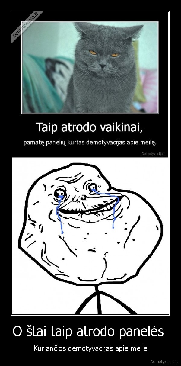 O štai taip atrodo panelės 