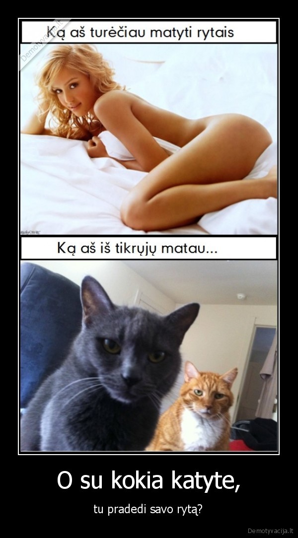 O su kokia katyte,